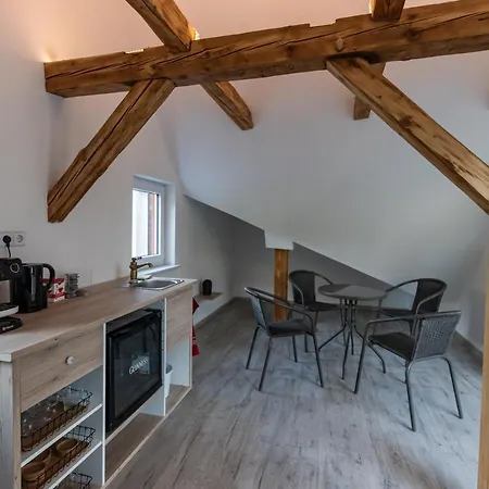 Apartment Skiheim Grossschoenau